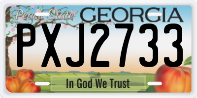 GA license plate PXJ2733
