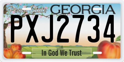 GA license plate PXJ2734