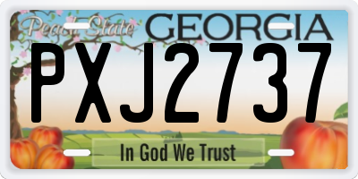 GA license plate PXJ2737