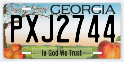 GA license plate PXJ2744