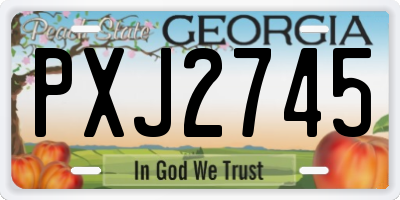 GA license plate PXJ2745