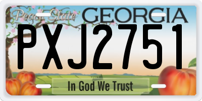 GA license plate PXJ2751