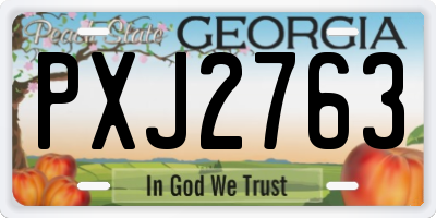 GA license plate PXJ2763