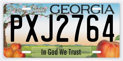 GA license plate PXJ2764