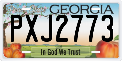 GA license plate PXJ2773
