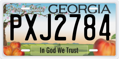 GA license plate PXJ2784