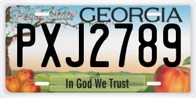 GA license plate PXJ2789
