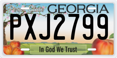 GA license plate PXJ2799
