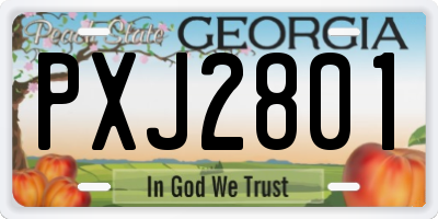 GA license plate PXJ2801