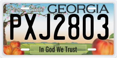 GA license plate PXJ2803