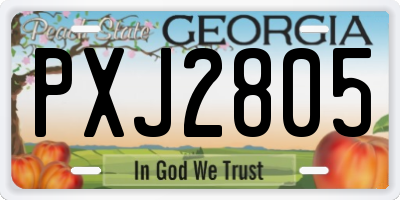GA license plate PXJ2805