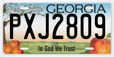 GA license plate PXJ2809