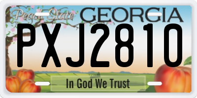 GA license plate PXJ2810