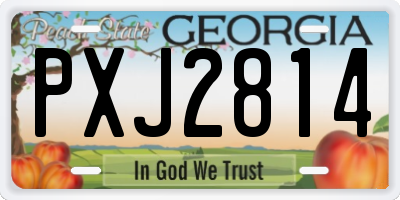 GA license plate PXJ2814