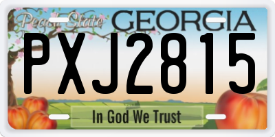 GA license plate PXJ2815