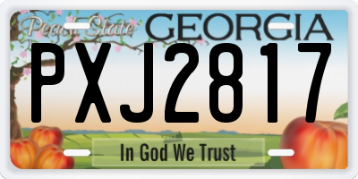 GA license plate PXJ2817