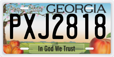 GA license plate PXJ2818
