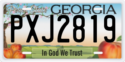GA license plate PXJ2819