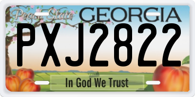GA license plate PXJ2822