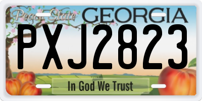 GA license plate PXJ2823