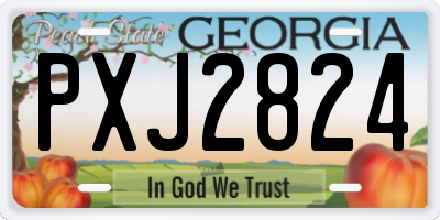 GA license plate PXJ2824