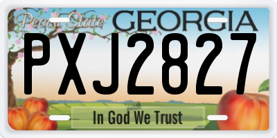 GA license plate PXJ2827