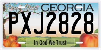 GA license plate PXJ2828