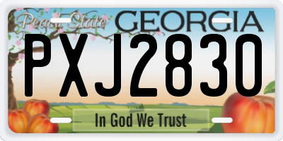 GA license plate PXJ2830