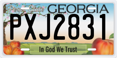 GA license plate PXJ2831