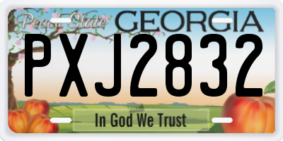 GA license plate PXJ2832