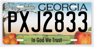 GA license plate PXJ2833