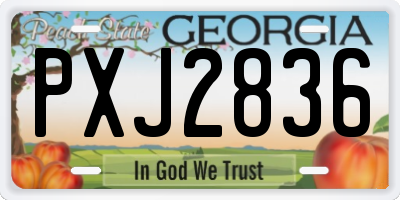GA license plate PXJ2836