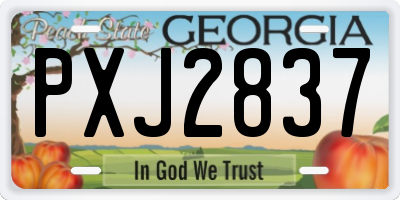 GA license plate PXJ2837