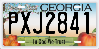 GA license plate PXJ2841