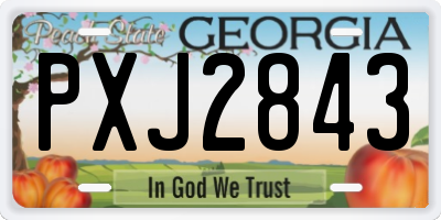 GA license plate PXJ2843