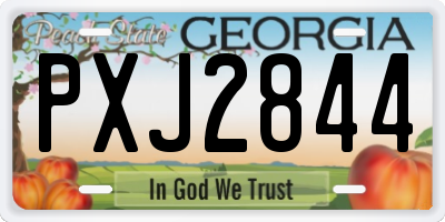 GA license plate PXJ2844