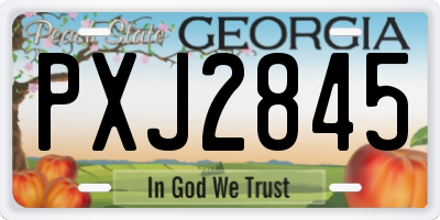 GA license plate PXJ2845