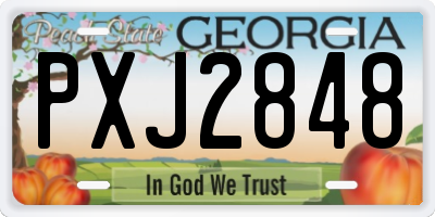 GA license plate PXJ2848