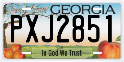 GA license plate PXJ2851