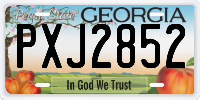 GA license plate PXJ2852