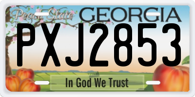 GA license plate PXJ2853