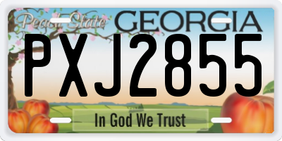 GA license plate PXJ2855