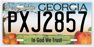 GA license plate PXJ2857