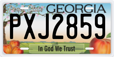 GA license plate PXJ2859