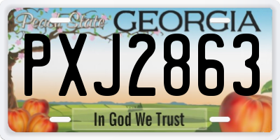 GA license plate PXJ2863