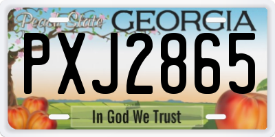 GA license plate PXJ2865