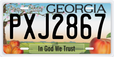 GA license plate PXJ2867