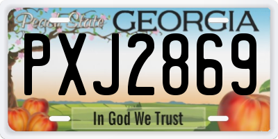 GA license plate PXJ2869