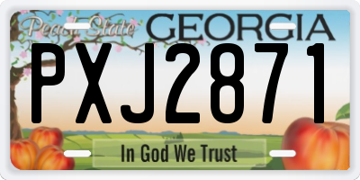 GA license plate PXJ2871