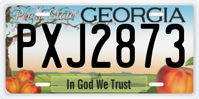 GA license plate PXJ2873